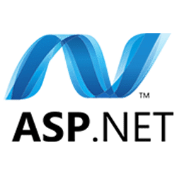 Net web application development