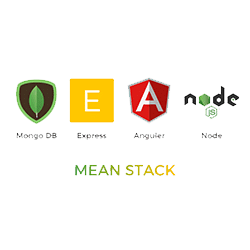 Mean stack web application development